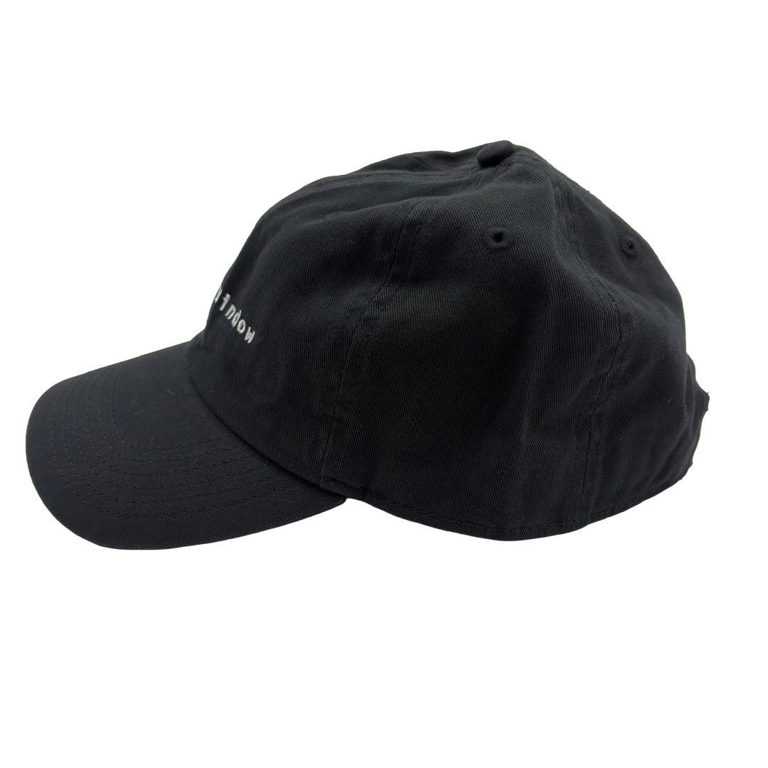 新品 公式 Aphex Twin エイフェックスツイン キャップ 帽子　WARP