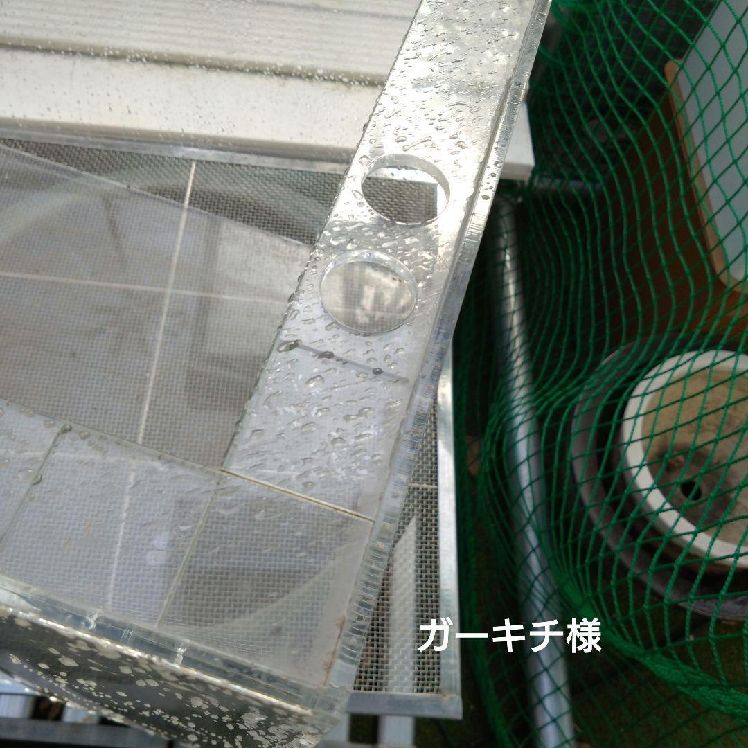 ガーキチ様限定☆アクリル水槽604545☆