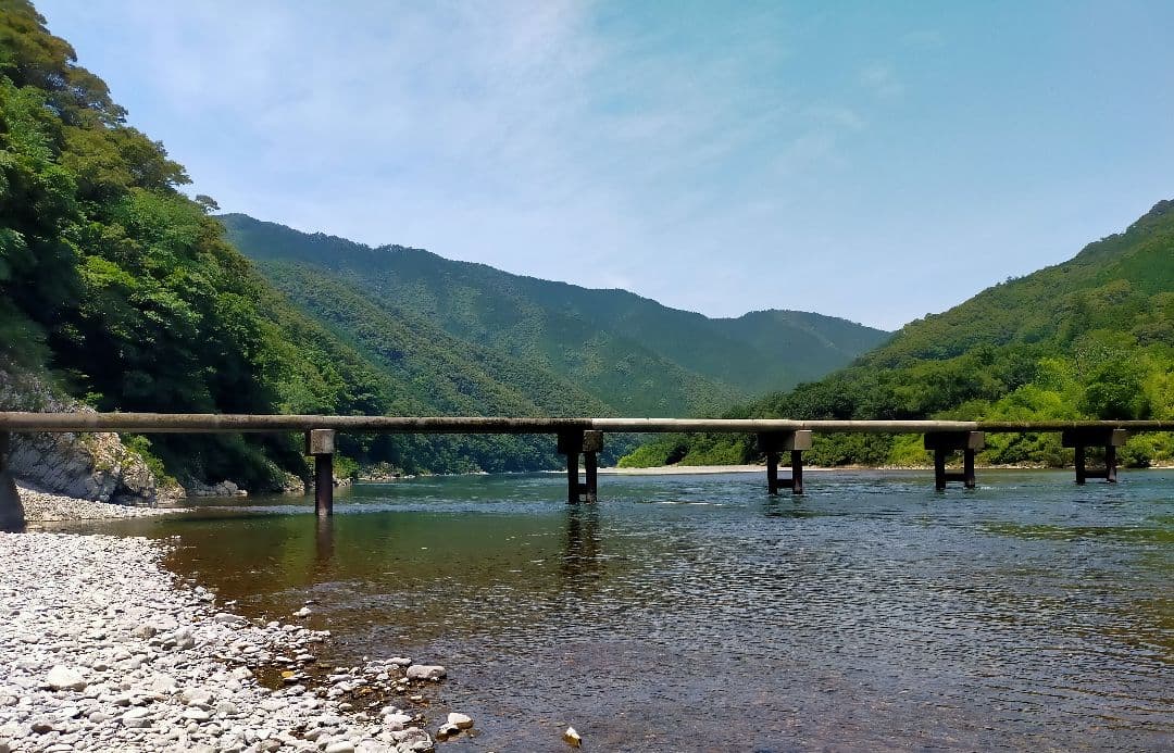 農薬未使用　三州新生姜5kg 専用出品