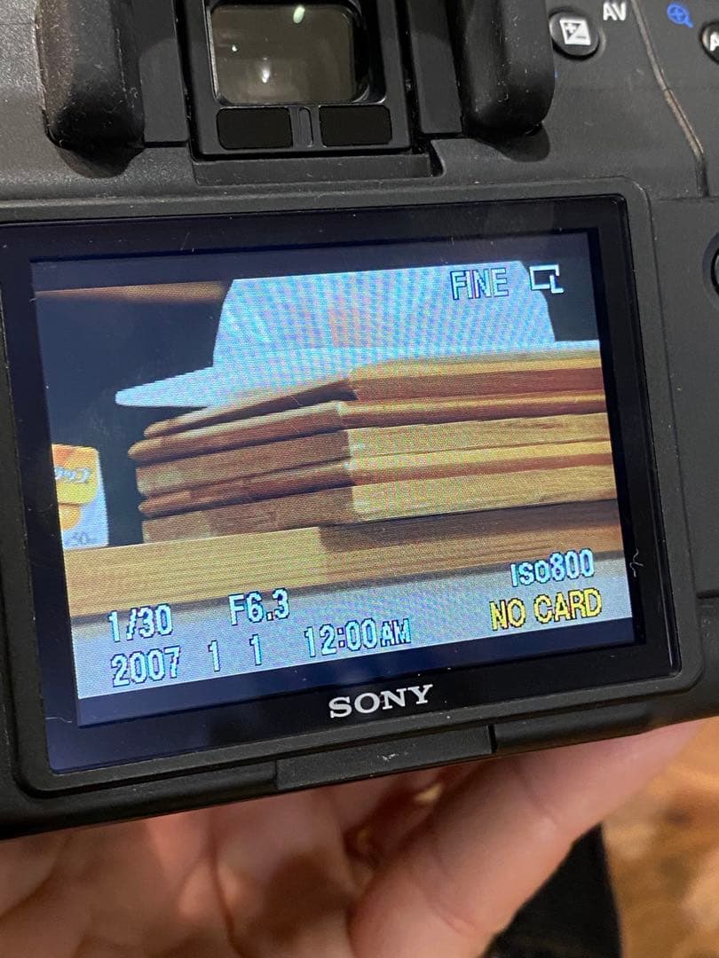 SONY α200 CCDデジタル一眼 タムロン　広角望遠18-200 動作品