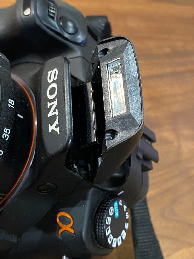 SONY α200 CCDデジタル一眼 タムロン　広角望遠18-200 動作品