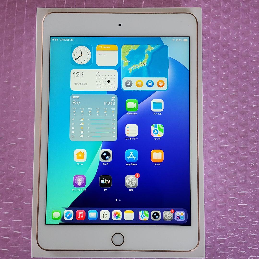 iPad mini5　バッテリー良好　フルセット　Wi-Fi+Cellular