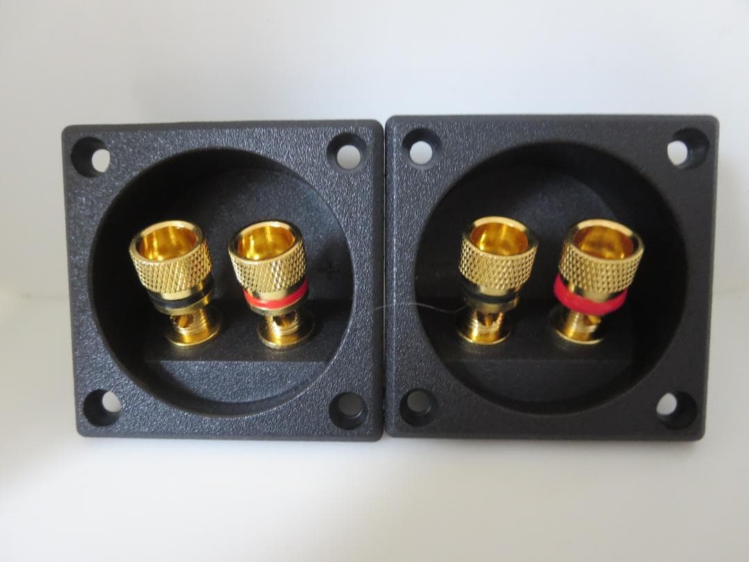 【3DaysSale】Victor SP-FS1 小型スピーカー 美品／現状品