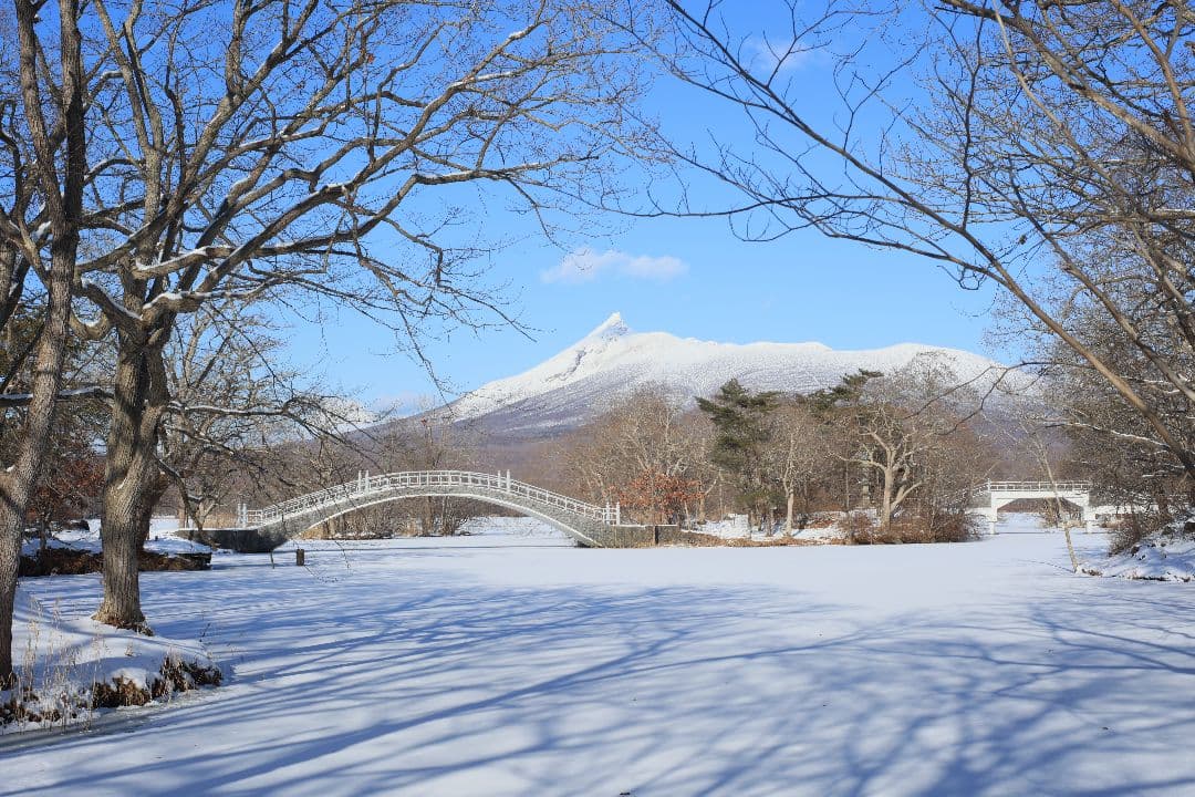 YASHICA AUTO YASHINON DS-M 50mm F1.7【美品】