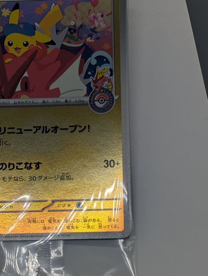 Pokemon　ポケカ　ヒロシマのピカチュウ