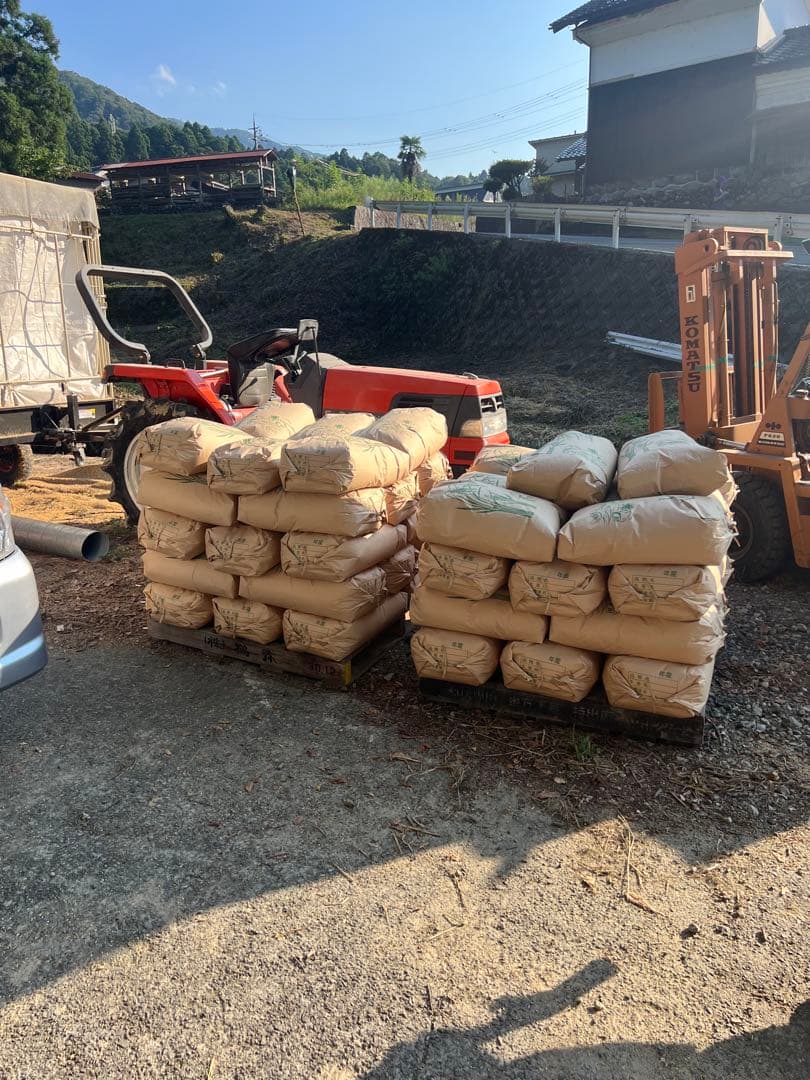 令和7年度コシヒカリ　玄米　30キロ