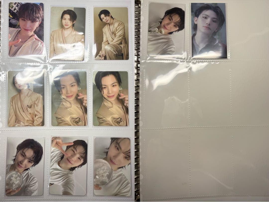 ウジ まとめ売り