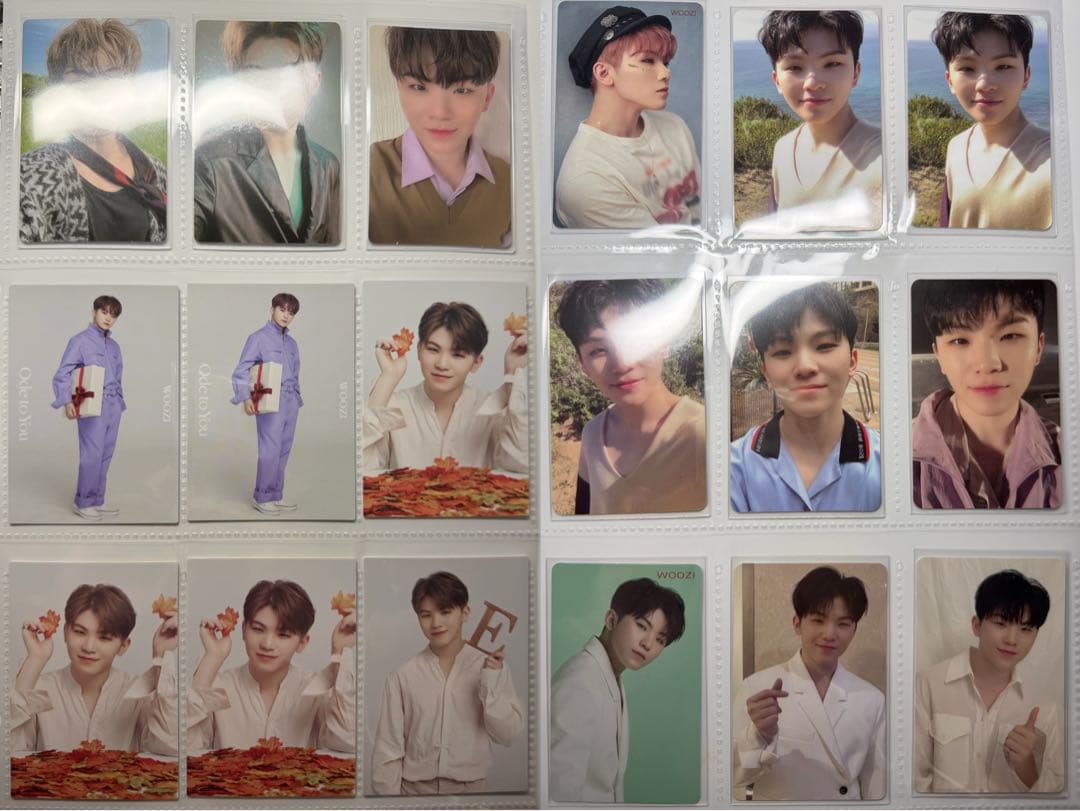 ウジ まとめ売り