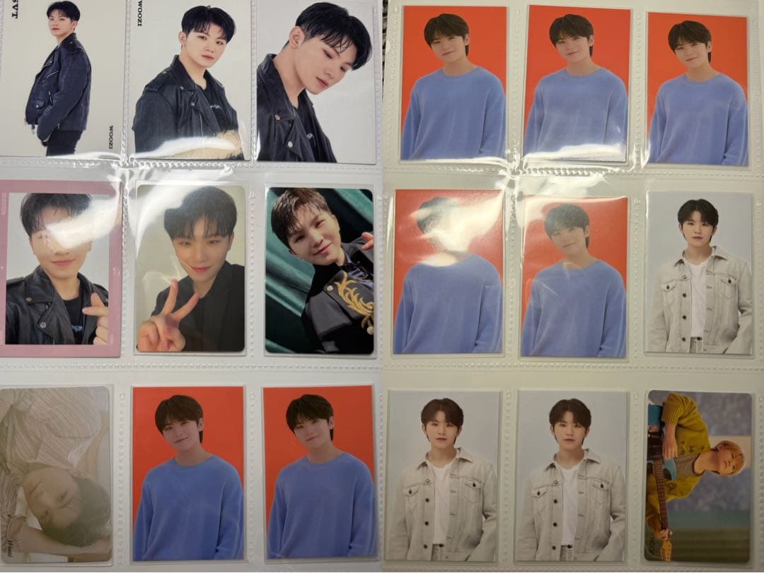 ウジ まとめ売り