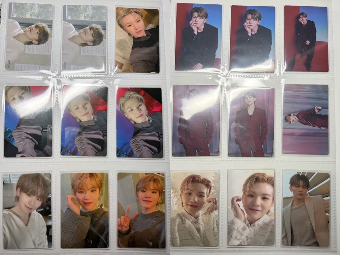 ウジ まとめ売り