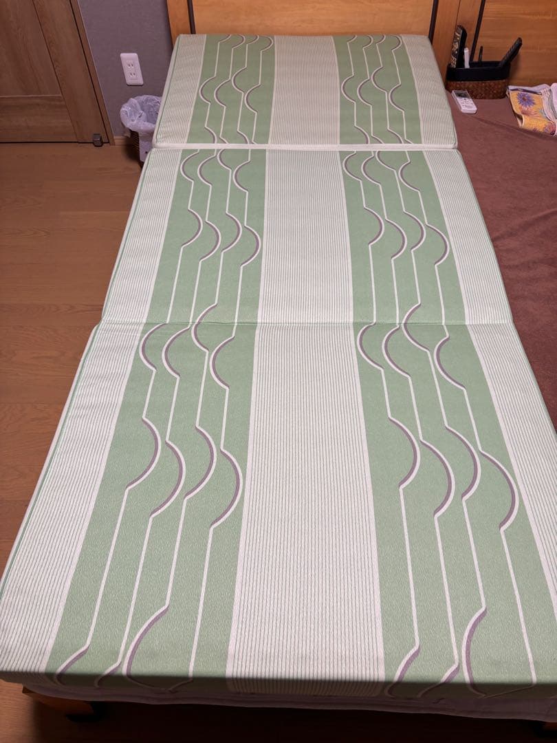 【廃盤レア品】ヘルスウェーブ ゴールド ジュニア