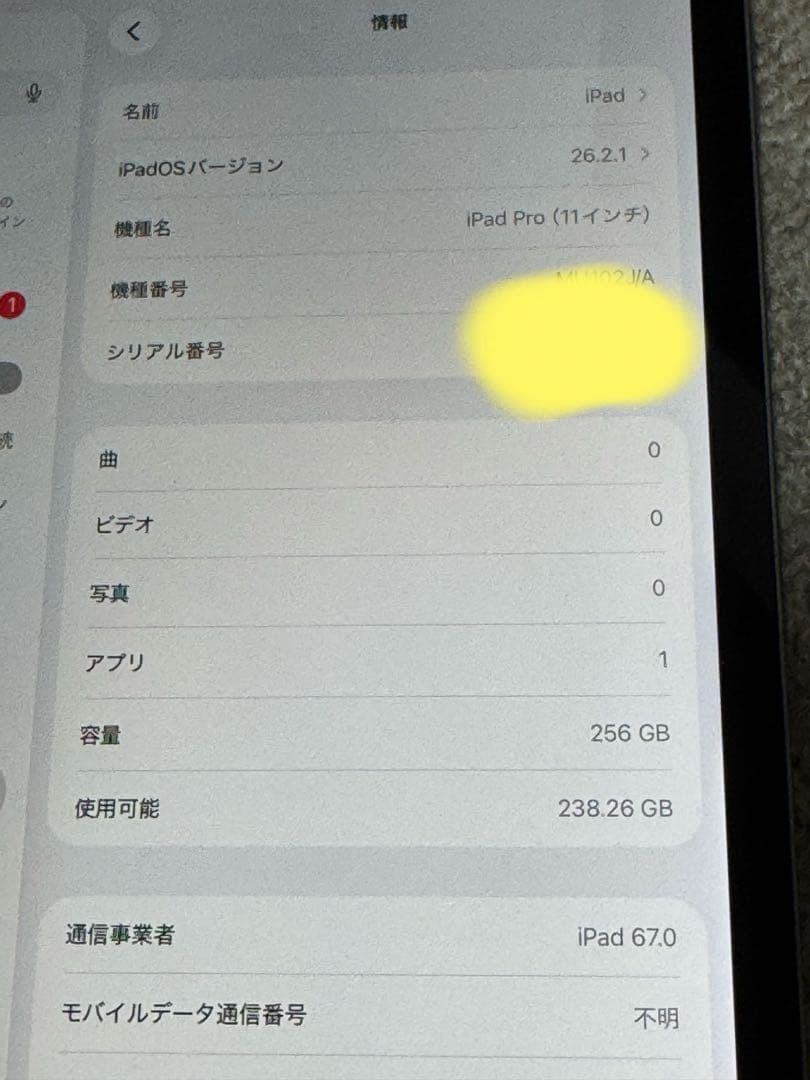 ipad pro 11インチ 256g スペースグレイ　Cellular