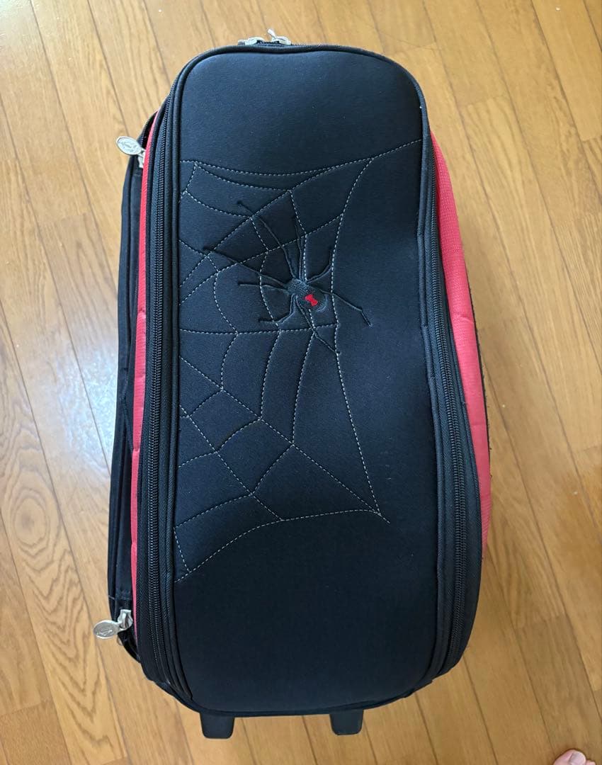 ボウリングキャリーバック2つ入り Stormボール2個付き