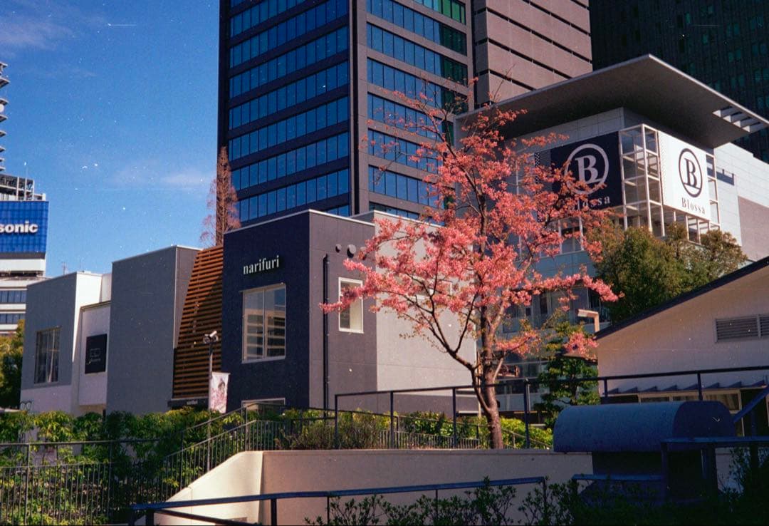 OLYMPUS 35 DC 整備、テスト撮影済　253103