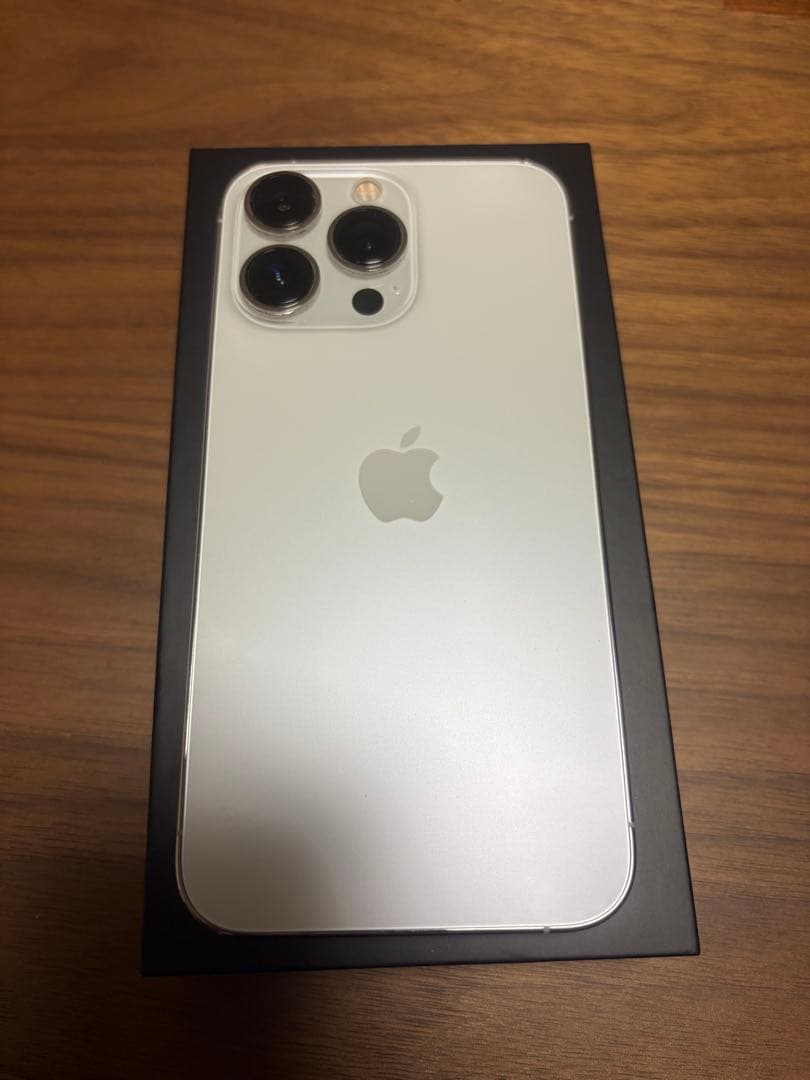 Apple iPhone 13 本体 充電ケーブル付き
