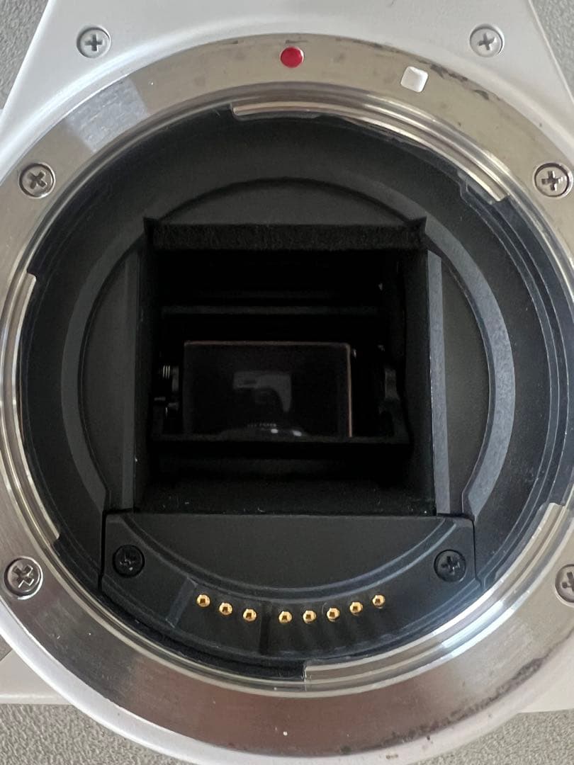 チ*コ様 【総額15万超】Canon EOS Kiss X10 レンズ2本 付属