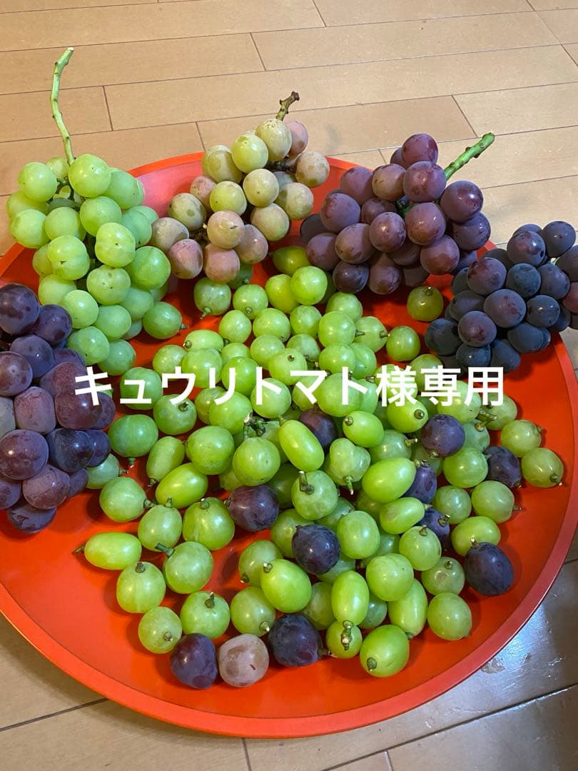 キュウリトマトです