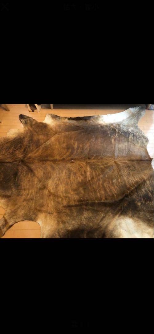 貴重　本牛毛皮　高級マット　特大