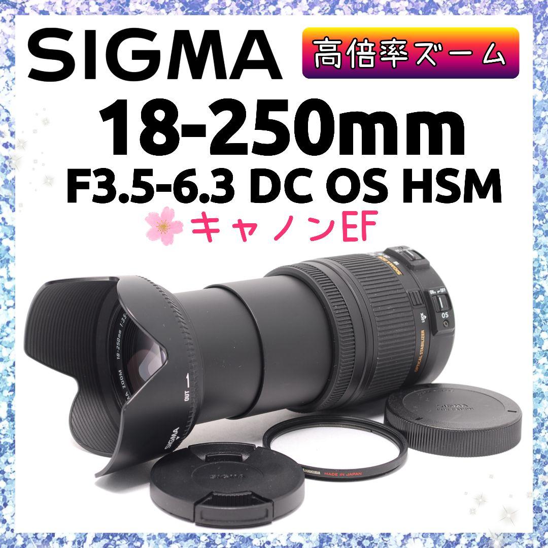 ❤即購入1000円OFF❤美品❤SIGMA 18-250mm DC OS HSM