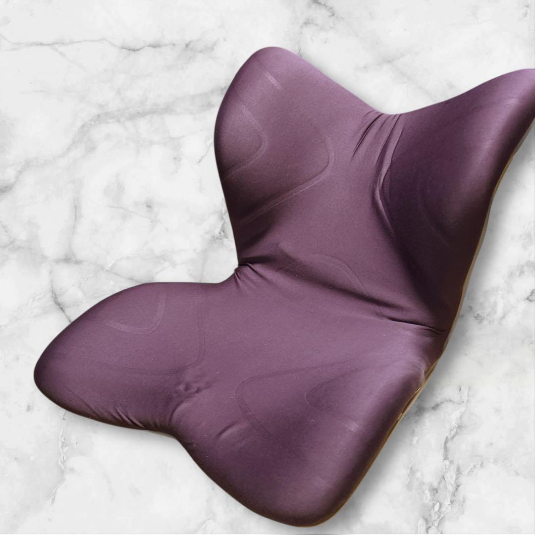 MTG ボディメイクシート Style PREMIUM 姿勢矯正 座椅子 現状品