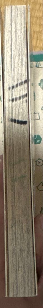 リ*ン様 【難あり】ONE PIECE １巻 初版本