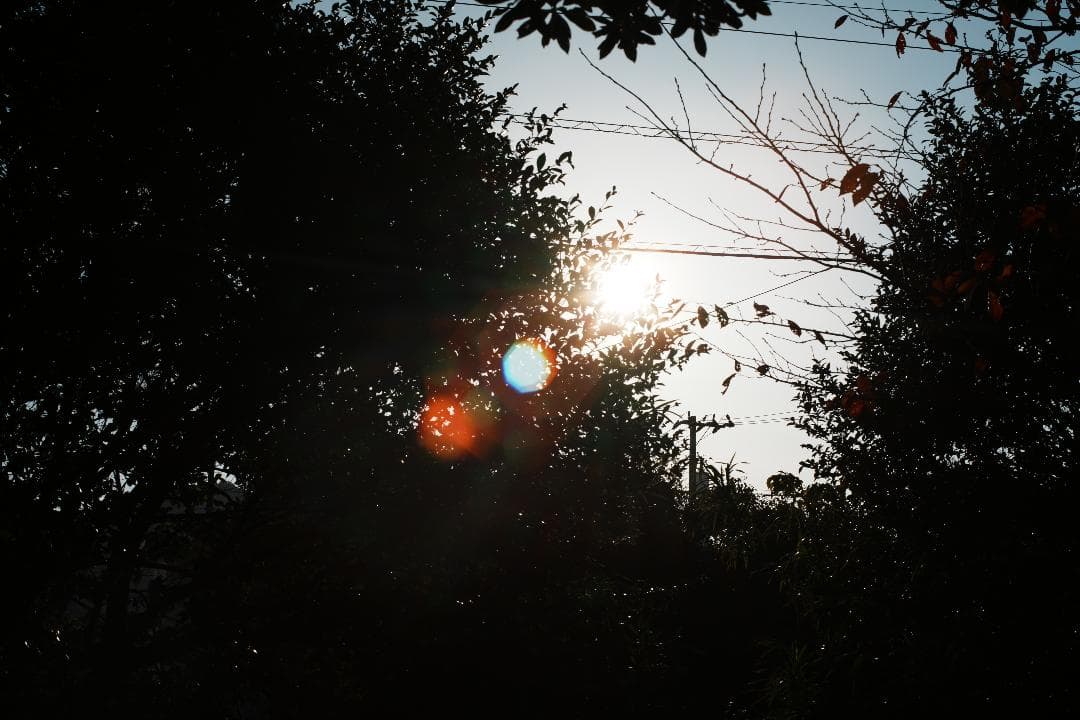 アダプター Minolta MC-ROKKOR PG 58mm F1.2 891