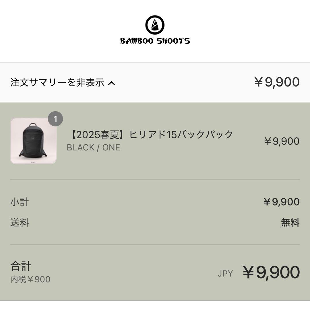 【国内正規品】アークテリクス ヒリアド 15 ブラック 新品未使用