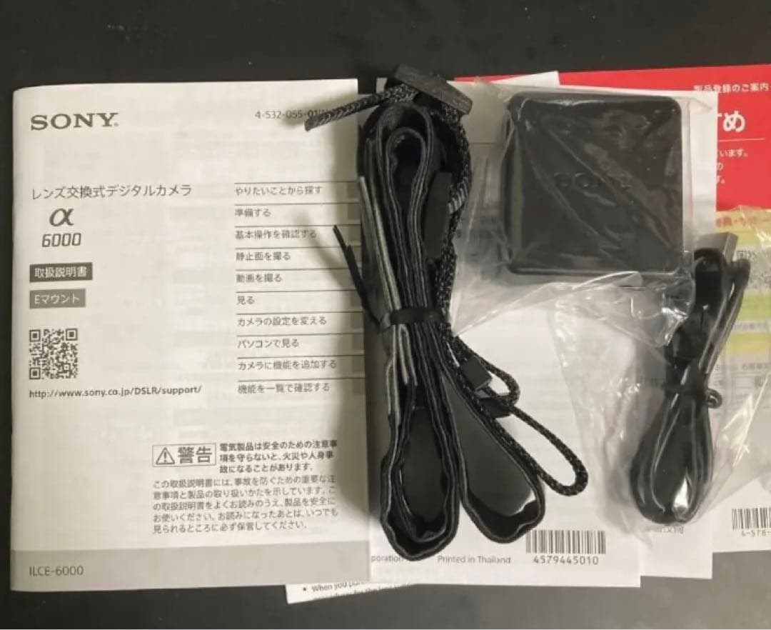 SONY ILCE−6000 16-50mmレンズキット＋別売ACC-FWCA付