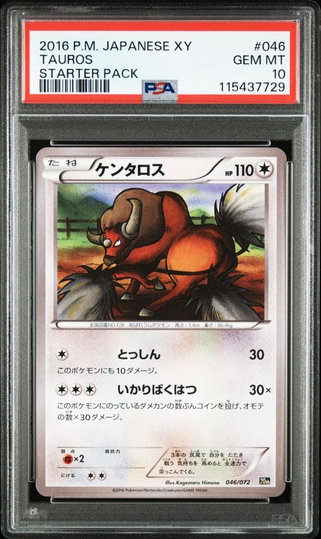 PSA10 ケンタロス 20th 世界3枚