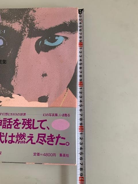 薔薇 BA-RA-KE-I 三島由紀夫 写真集 新版　細江英公