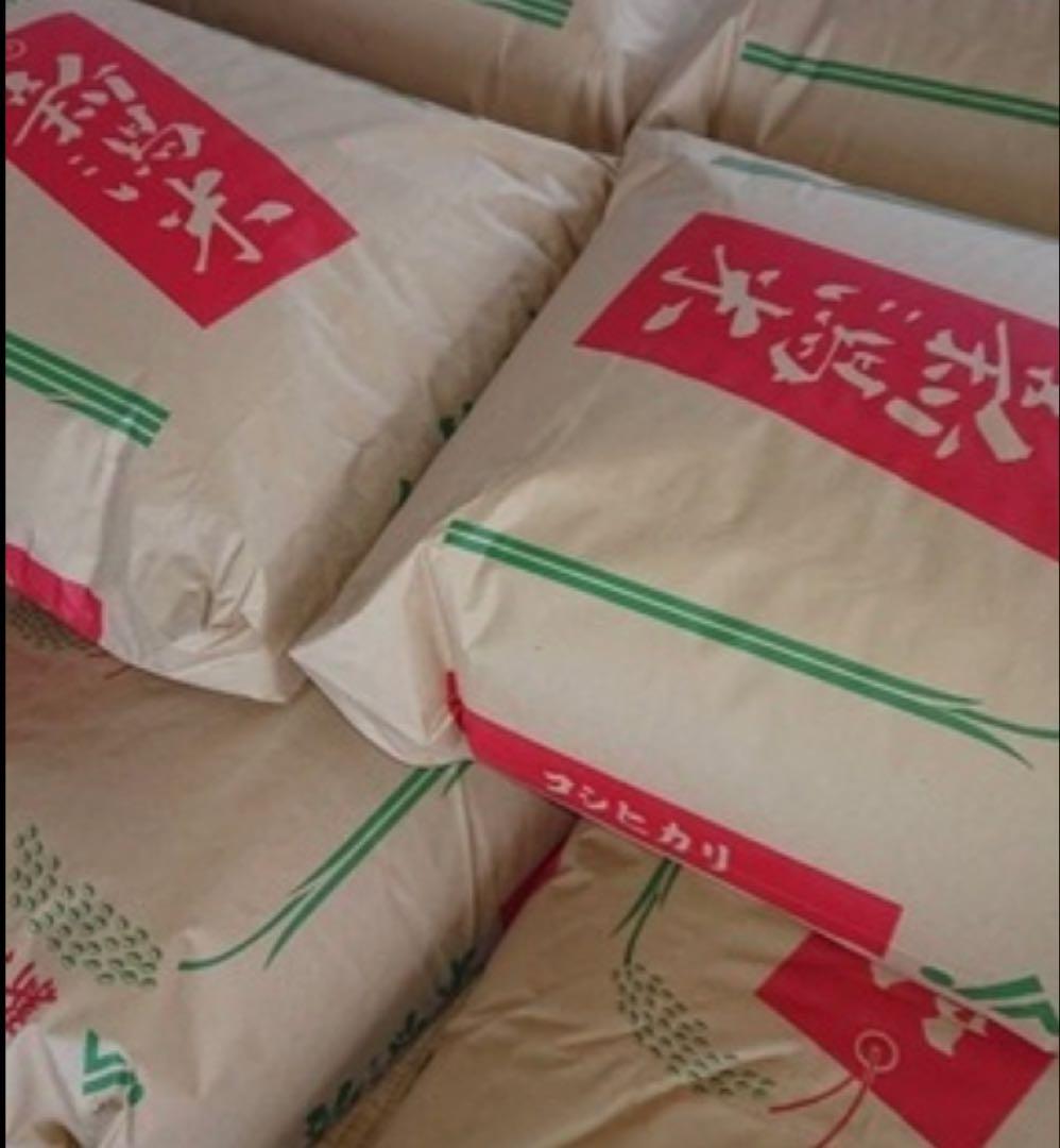 令和7 新潟産コシヒカリ（白米）10kg 2袋限定！