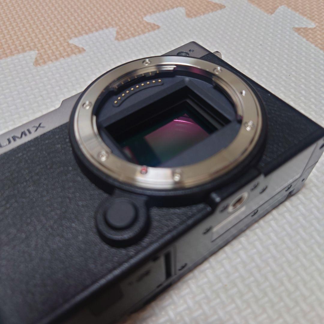 Panasonic LUMIX DC-S9-S ダークシルバー