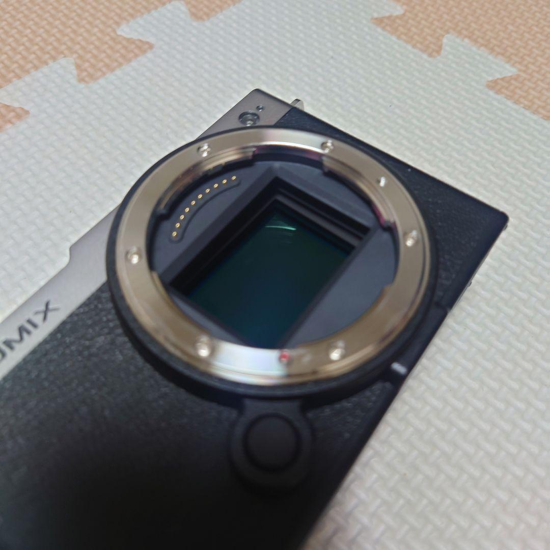 Panasonic LUMIX DC-S9-S ダークシルバー