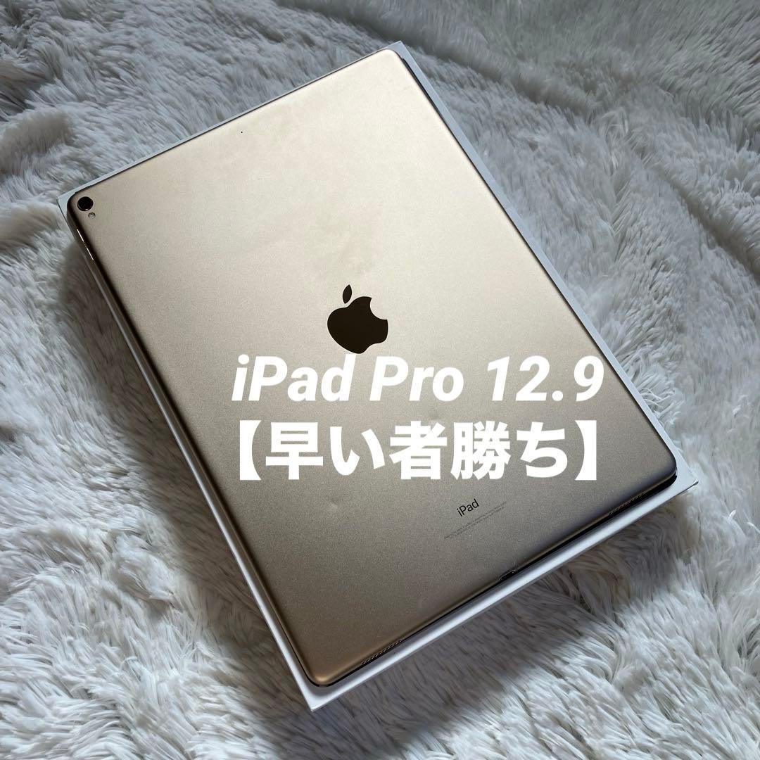 【完動品】iPad Pro 12.9 512GB 【すぐ発送】【付属品】