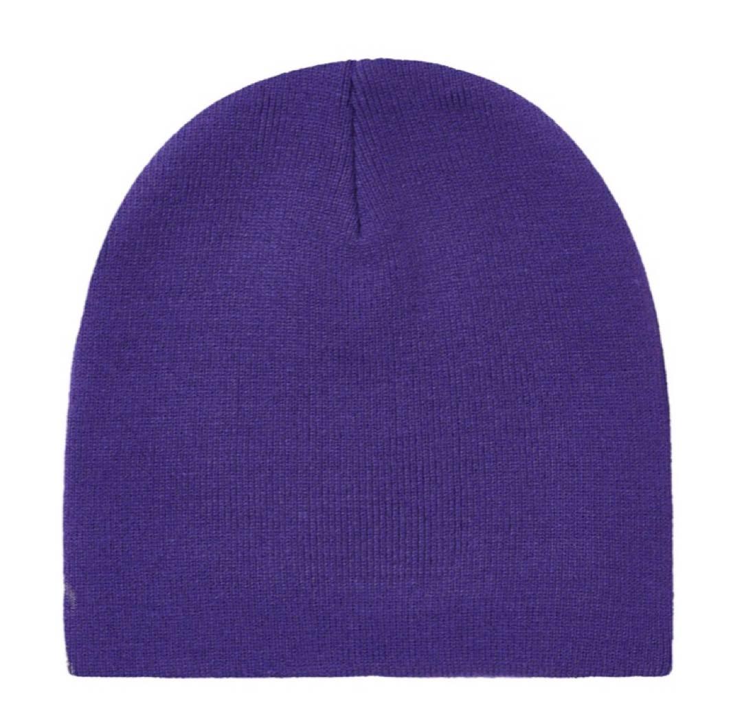 帽子 PALACE SMOKED NEIN CUFF BEANIE GRAPE