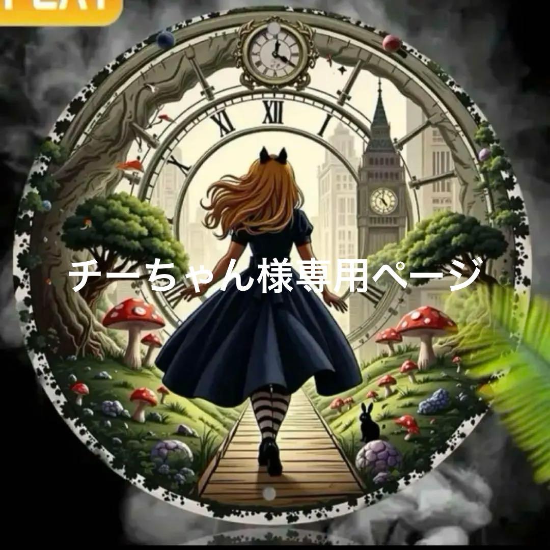 チーちゃん様おまとめ12点