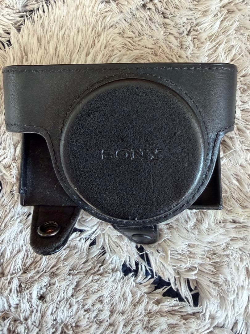 ソニーDSC-RX100M3