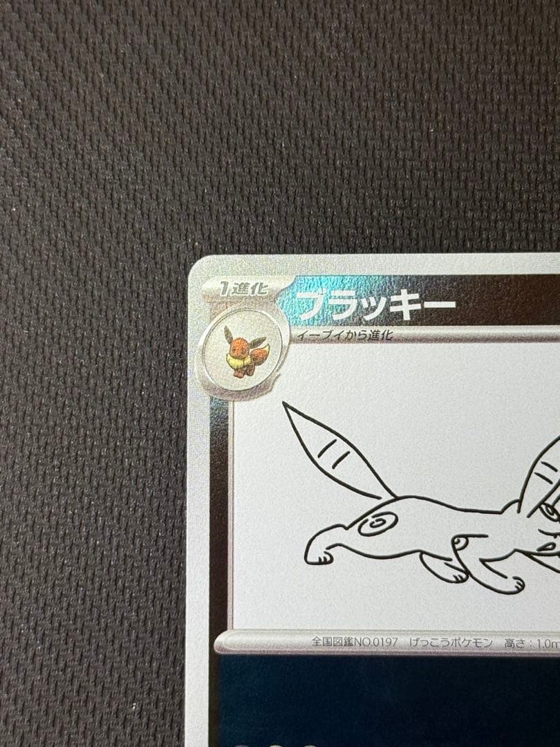 た*し様 ブラッキー 067/SV-P