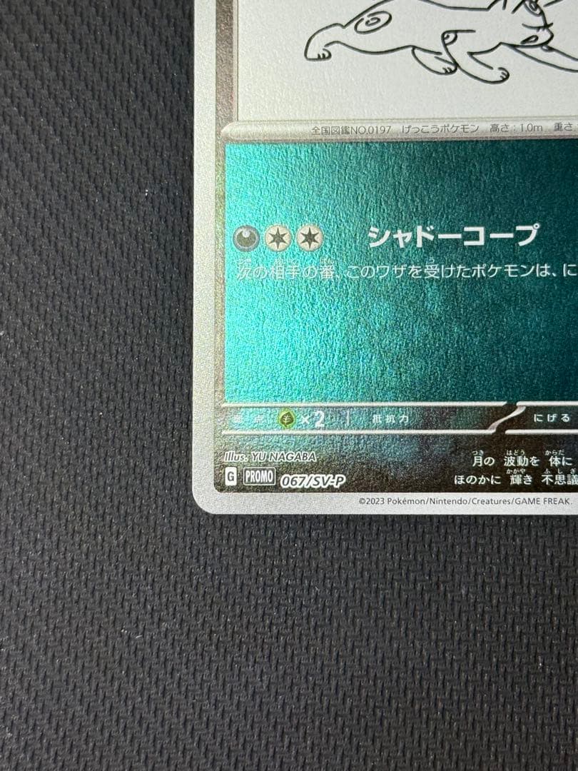 た*し様 ブラッキー 067/SV-P