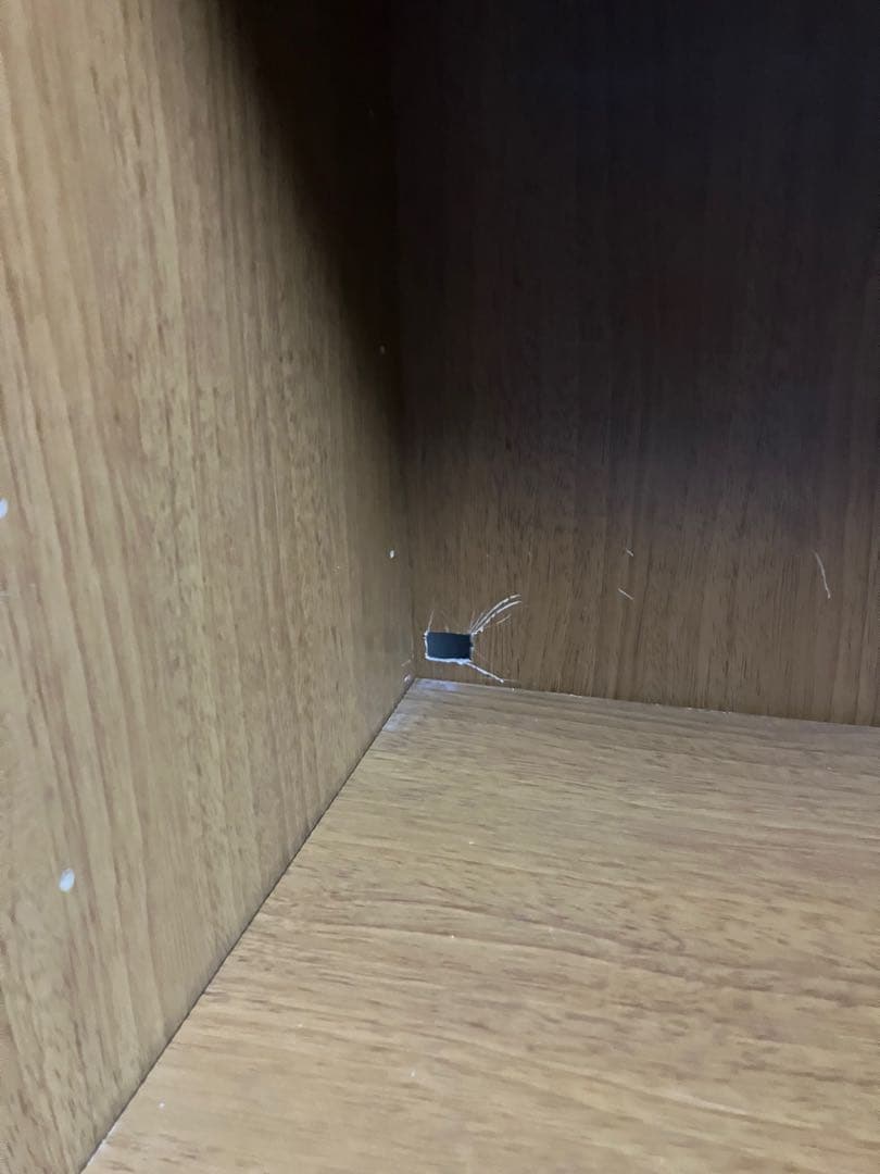 木製ガラス扉本棚 幅800mm (Ranasheel2000)