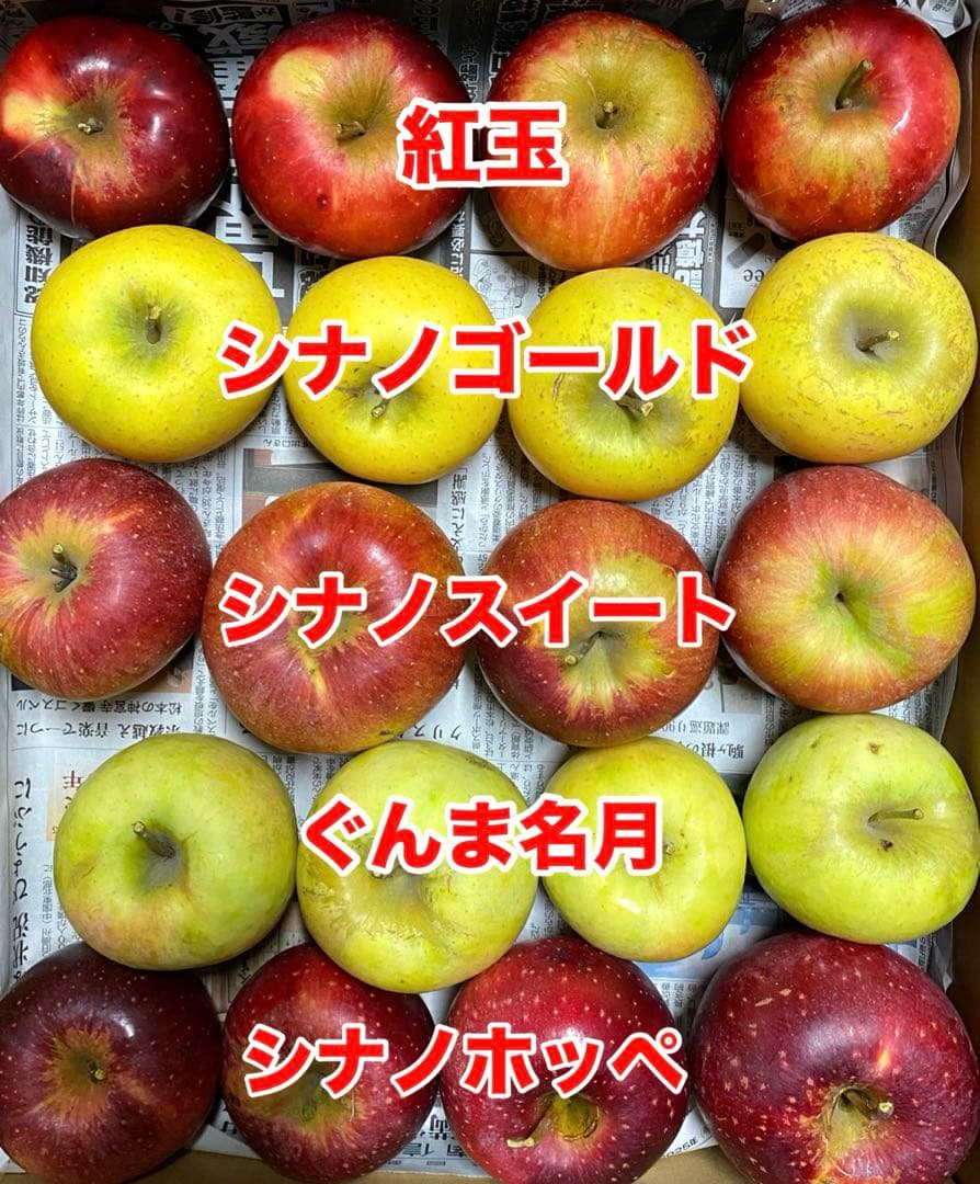 piyo リンゴ いろいろ 15kg