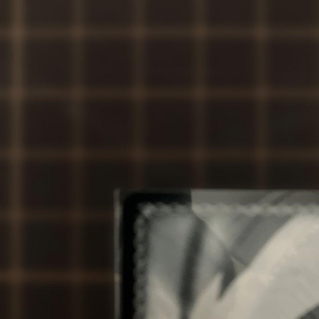 ヴァイスシュヴァル彼女お借りします　清楚可憐な彼女　千鶴　SSP かのかり