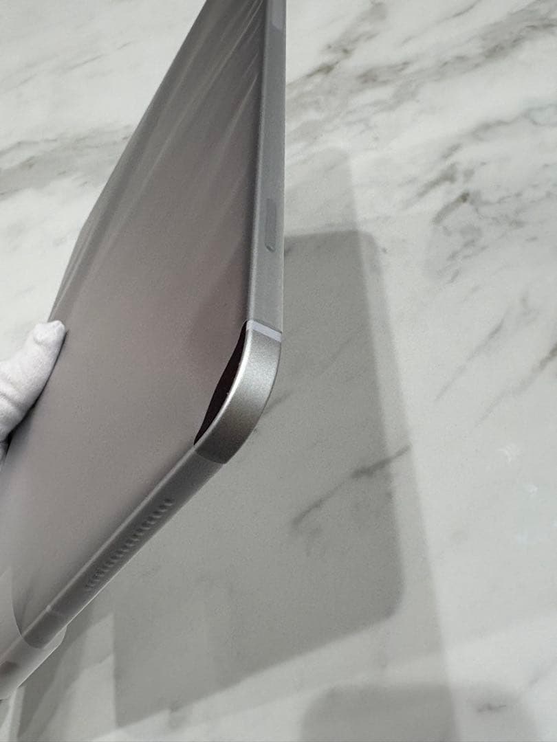 モ*ル様 【新品同様】iPad Pro 12.9 1TB Cellular 10