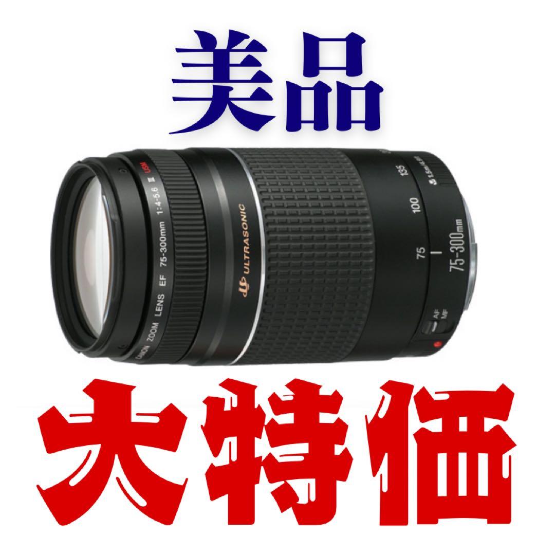 【美品】Canon EFレンズ EF75-300mm F4-5.6 III