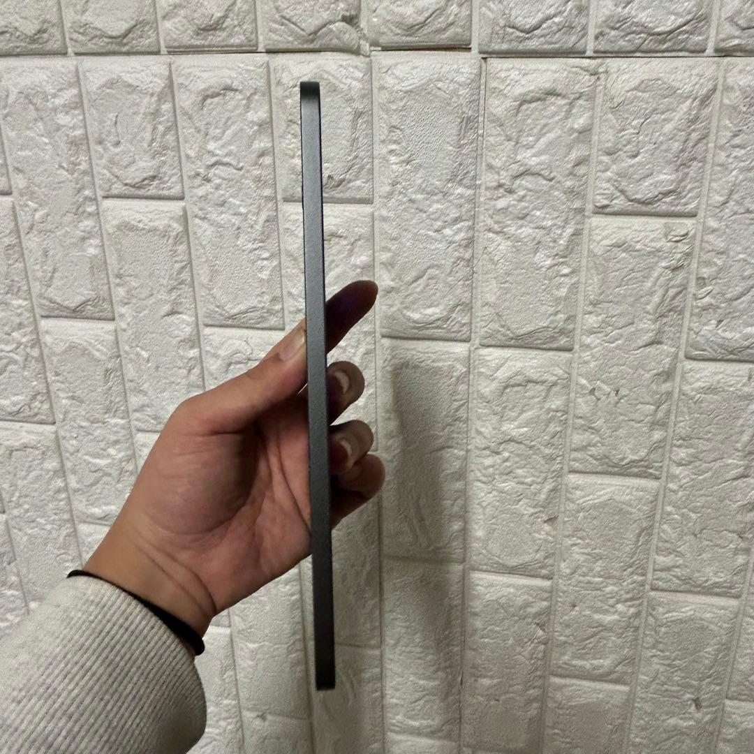 24年購入 美品 Apple iPadmini 64GB スペースグレー 本体