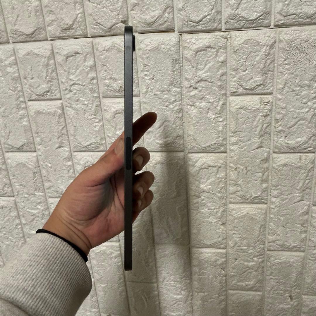 24年購入 美品 Apple iPadmini 64GB スペースグレー 本体