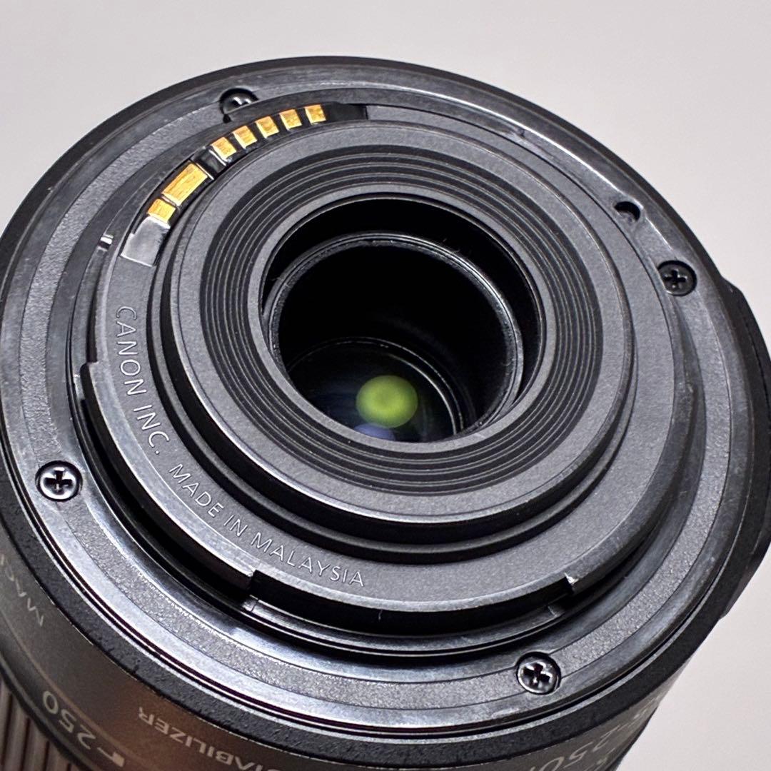 ⭐️美品⭐️ Canon EF-S 55-250mm F4-5.6 IS II 望遠