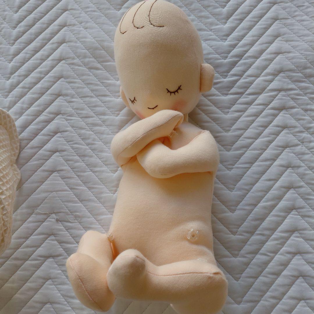 【助産師実習用】赤ちゃん人形と骨盤模型