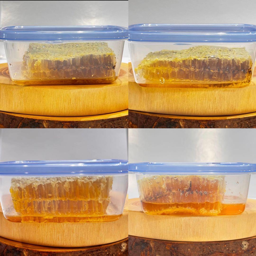 高知県産　生はちみつ　巣蜜　非加熱　百花蜜　日本蜜蜂　ニホンミツバチ　コムハニー