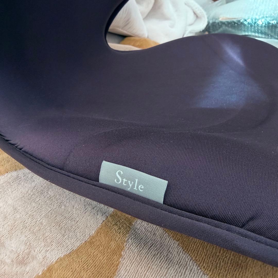 MTG スタイルスマート StyleSMART 骨盤サポートチェア